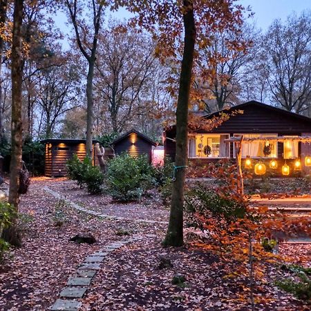 Lodge In Een Bosrijke Omgeving Met Hottub & Sauna Opt Rheezerveen 外观 照片