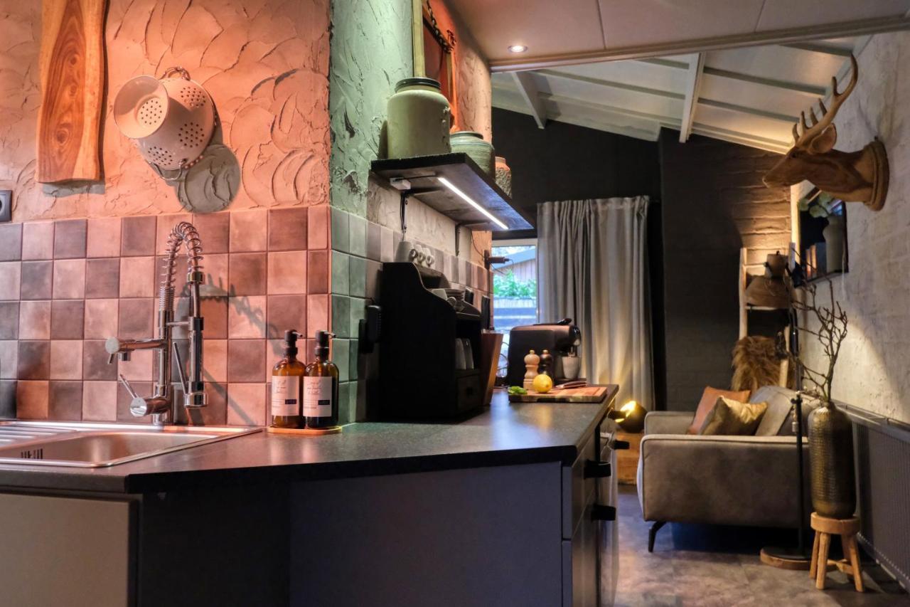 Lodge In Een Bosrijke Omgeving Met Hottub & Sauna Opt Rheezerveen 外观 照片