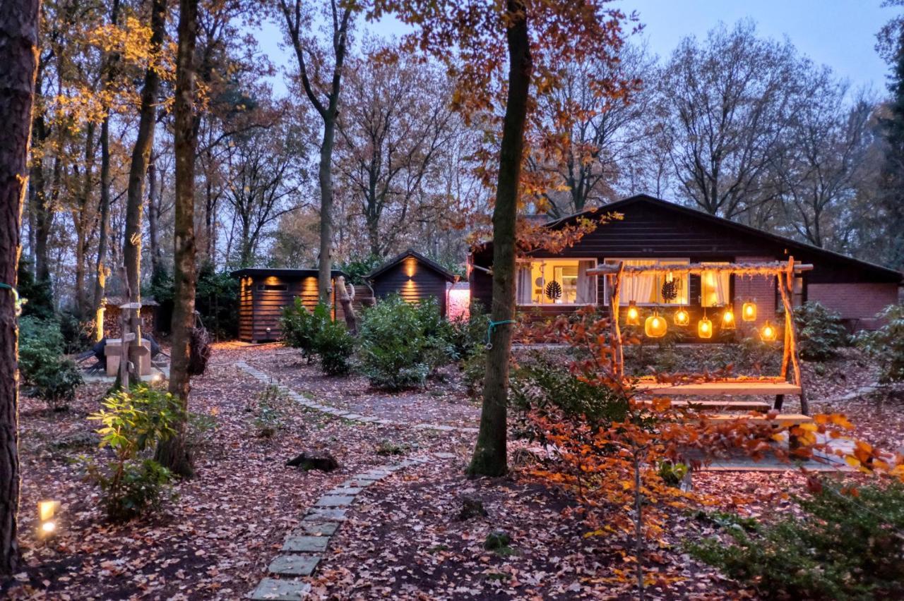 Lodge In Een Bosrijke Omgeving Met Hottub & Sauna Opt Rheezerveen 外观 照片