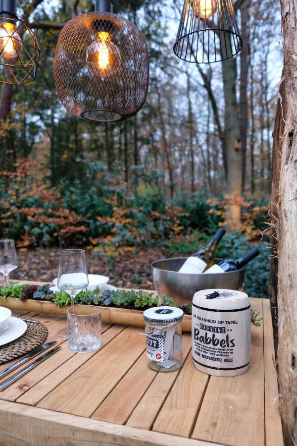 Lodge In Een Bosrijke Omgeving Met Hottub & Sauna Opt Rheezerveen 外观 照片